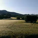 Elena In *