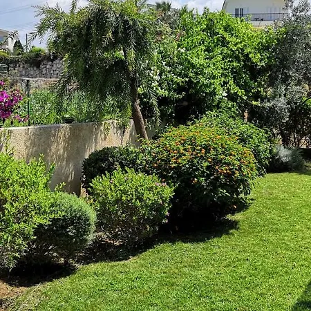 Villa Elena In Argaka