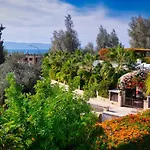 Villa Elena In