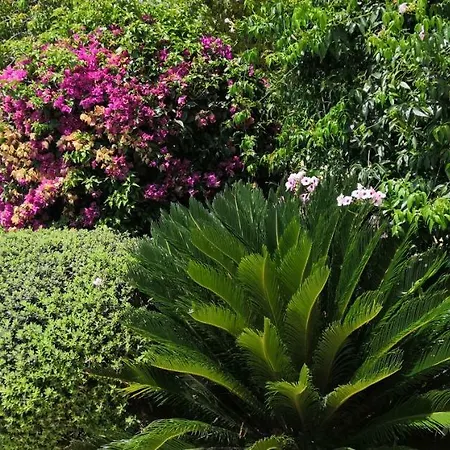 Elena In Villa Argáka