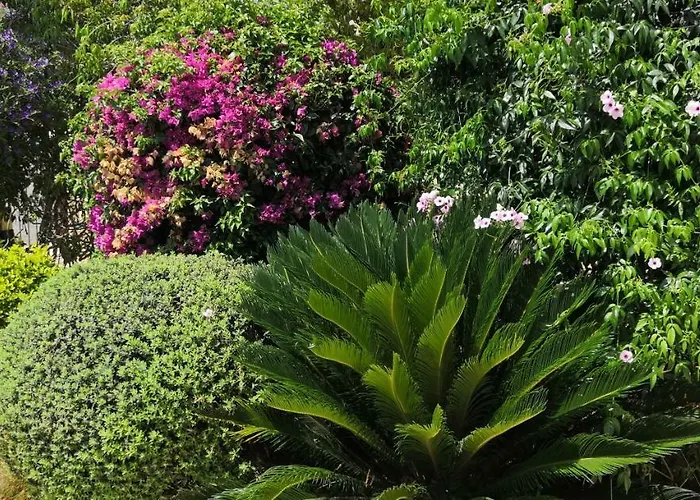 Elena In Villa Argaka